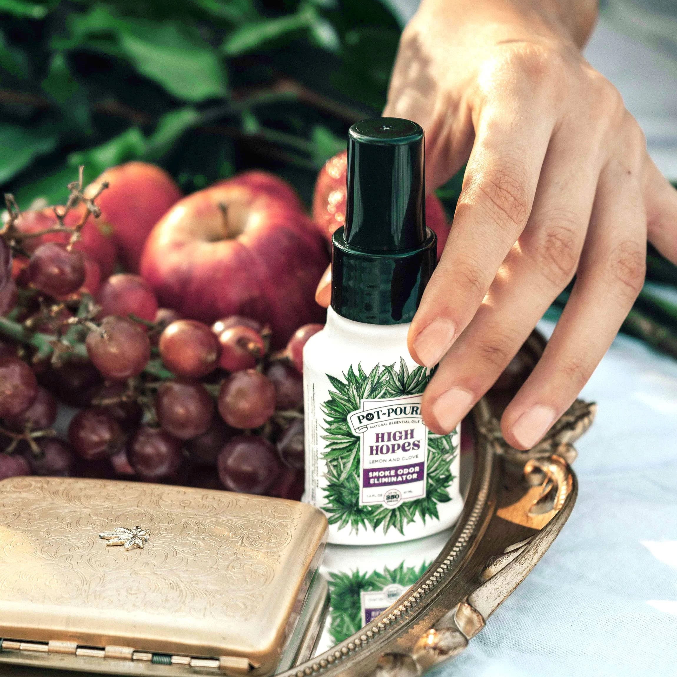 Lemon + Clove Pot~Pourri High Hopes Air Freshener