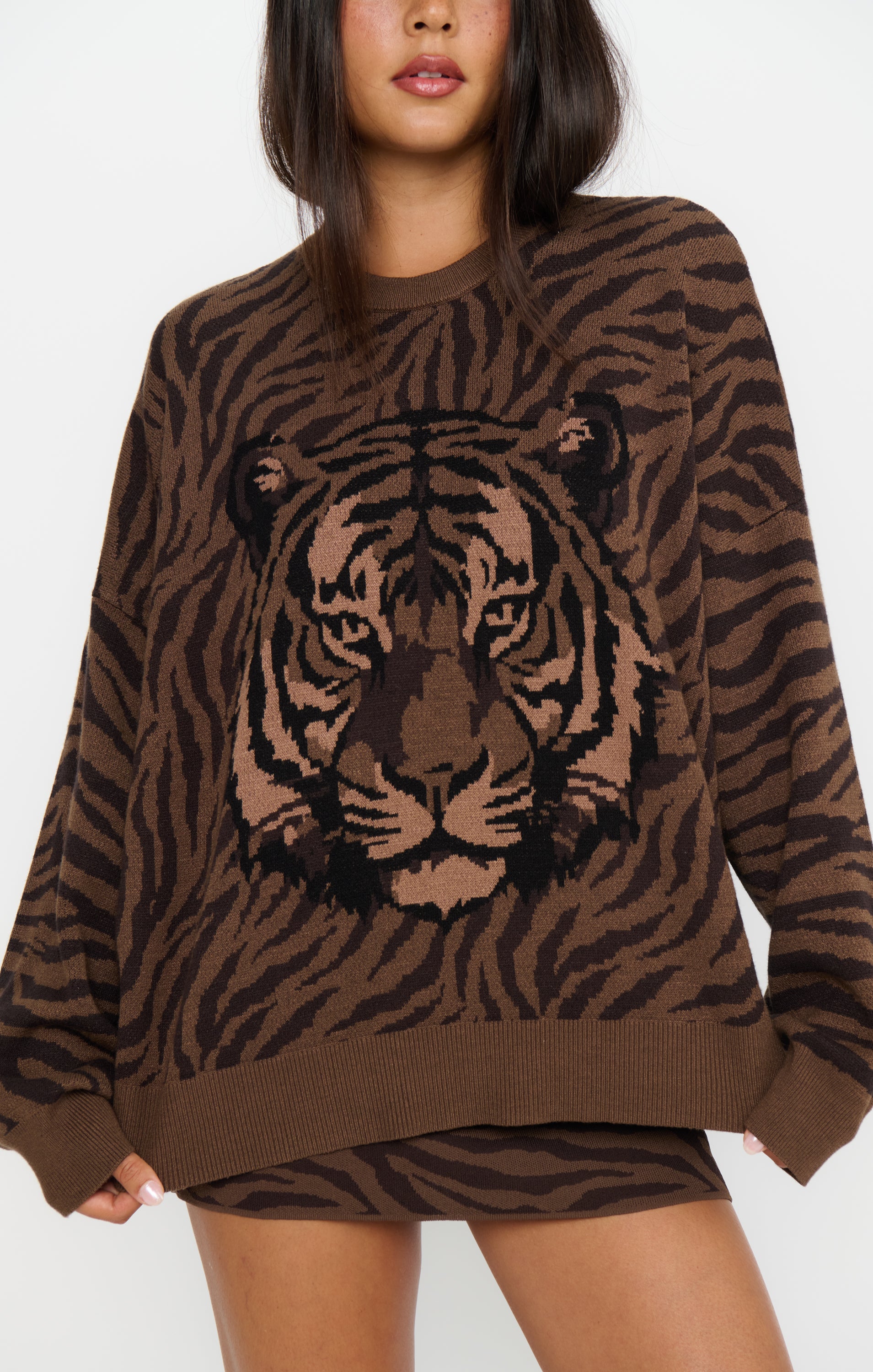 Show Me Your Mumu Seasons Sweater Wild Tiger Graphic Knit