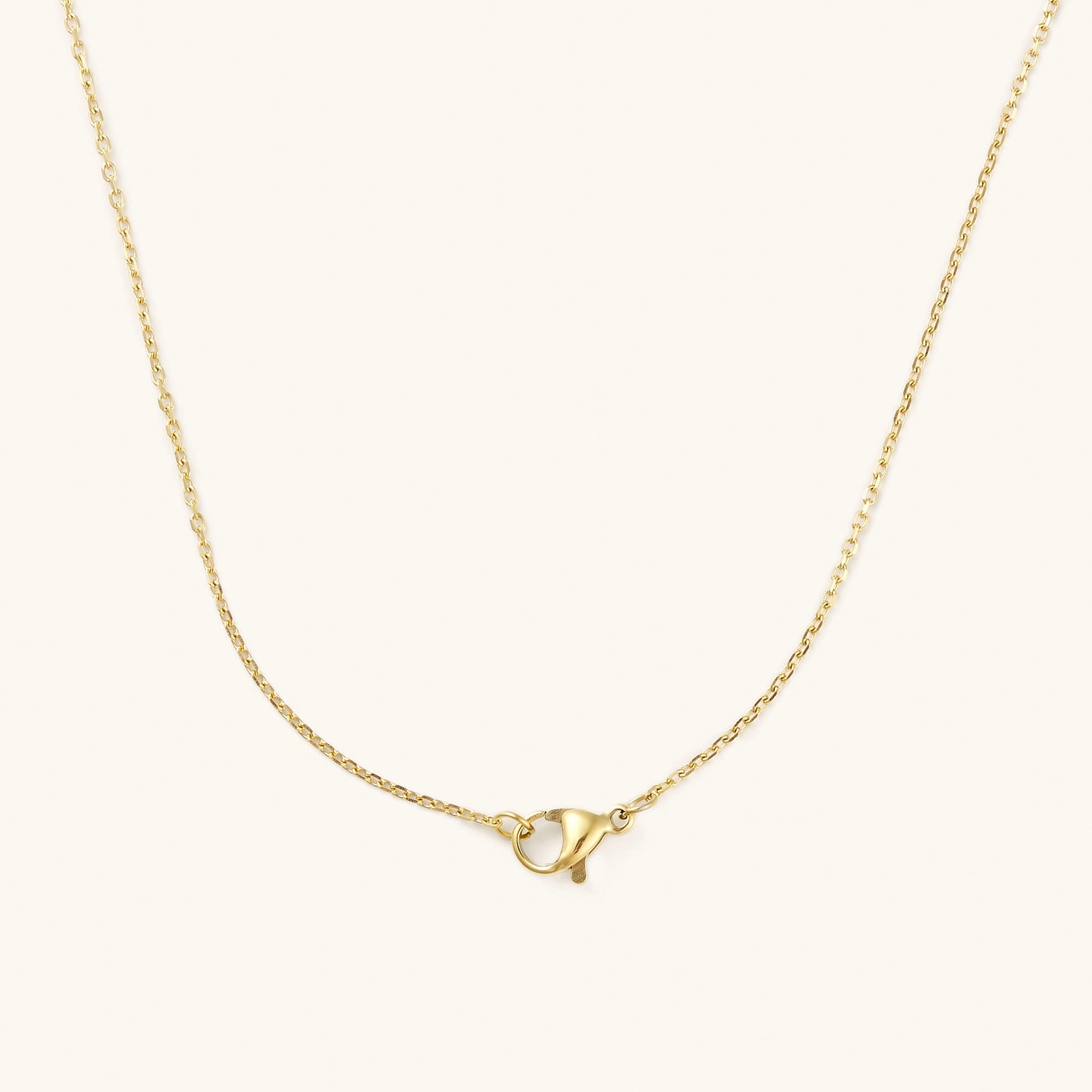 Nikki Smith Golden Clover Necklace Waterproof