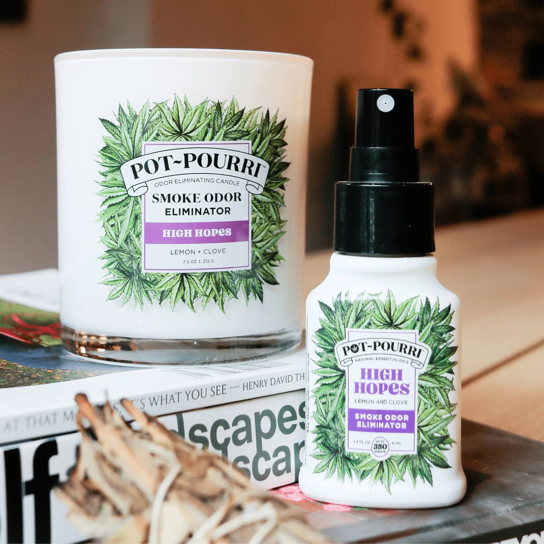 Lemon + Clove Pot~Pourri High Hopes Air Freshener