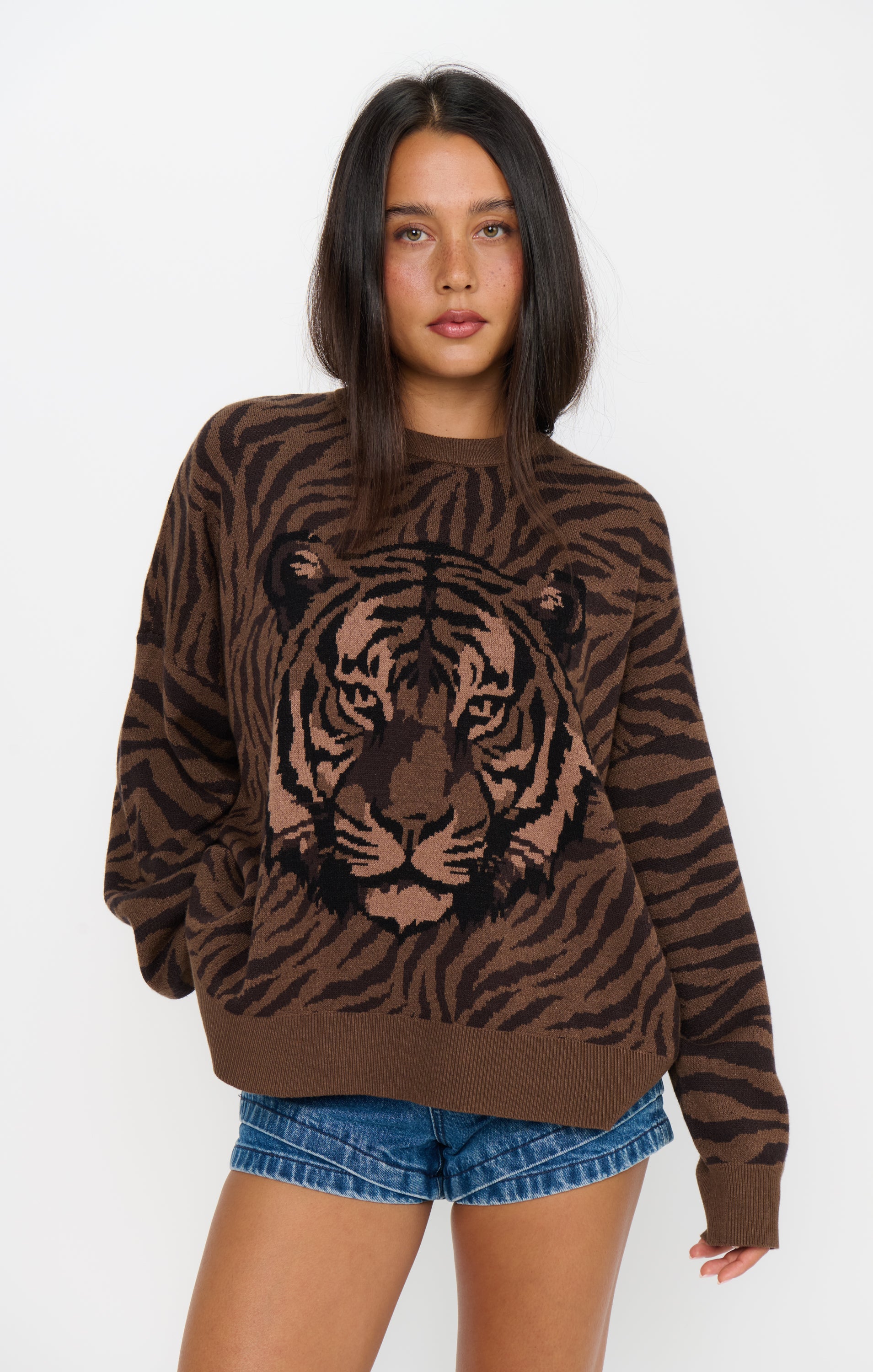 Show Me Your Mumu Seasons Sweater Wild Tiger Graphic Knit